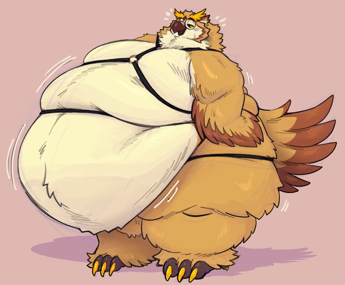 Big Bird tweet media