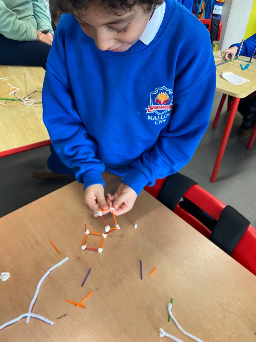 Mallow Community National School tweet media