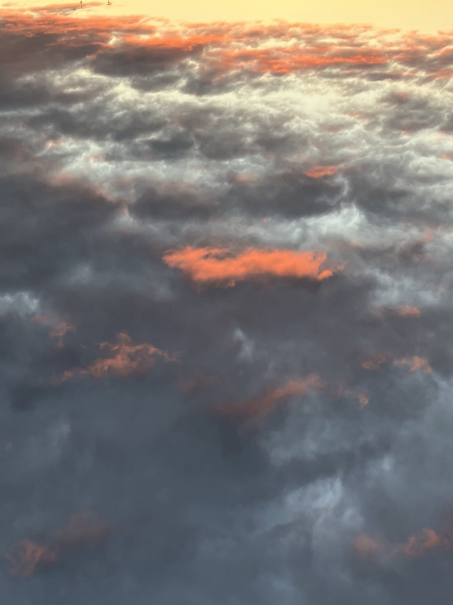 tocchi0204's tweet image. 