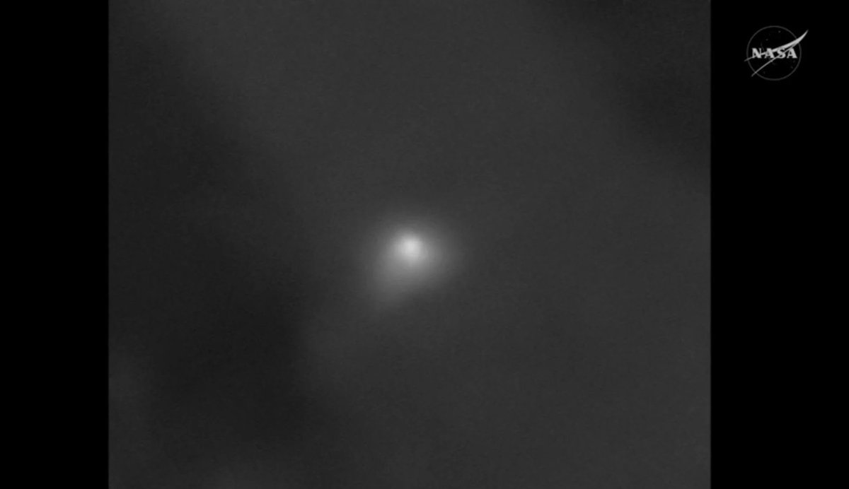 T R U T H P O L E tweet media