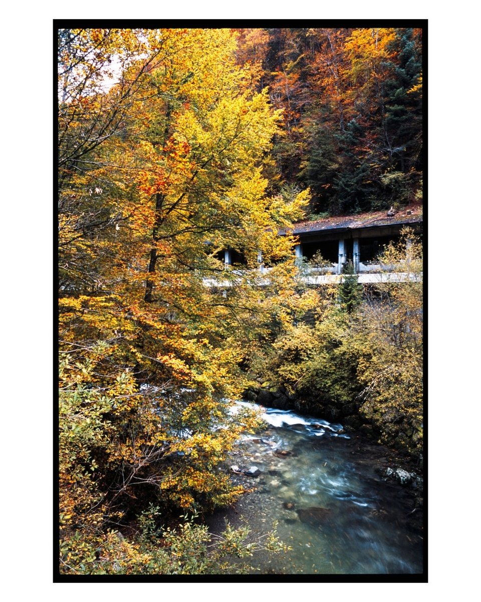 Robin Férand tweet media