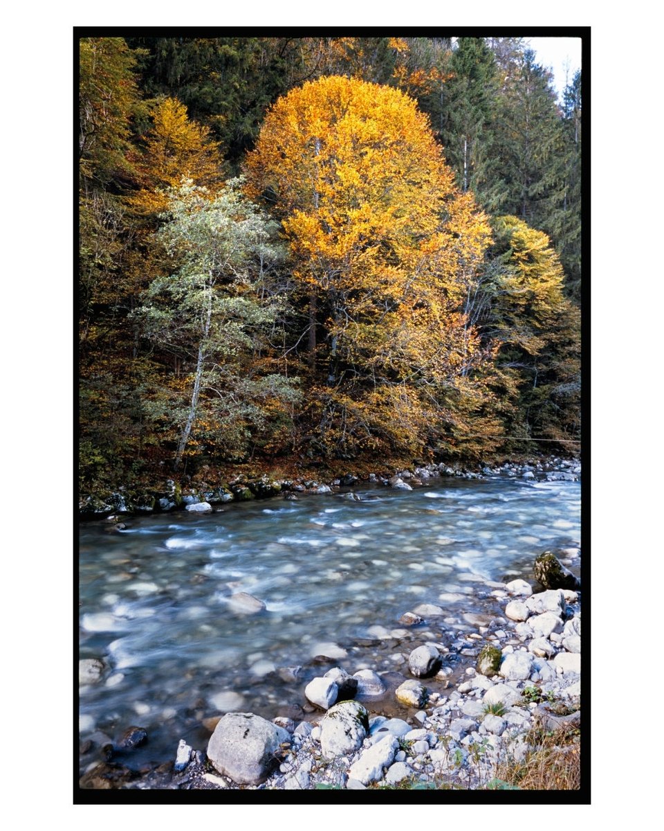 Robin Férand tweet media