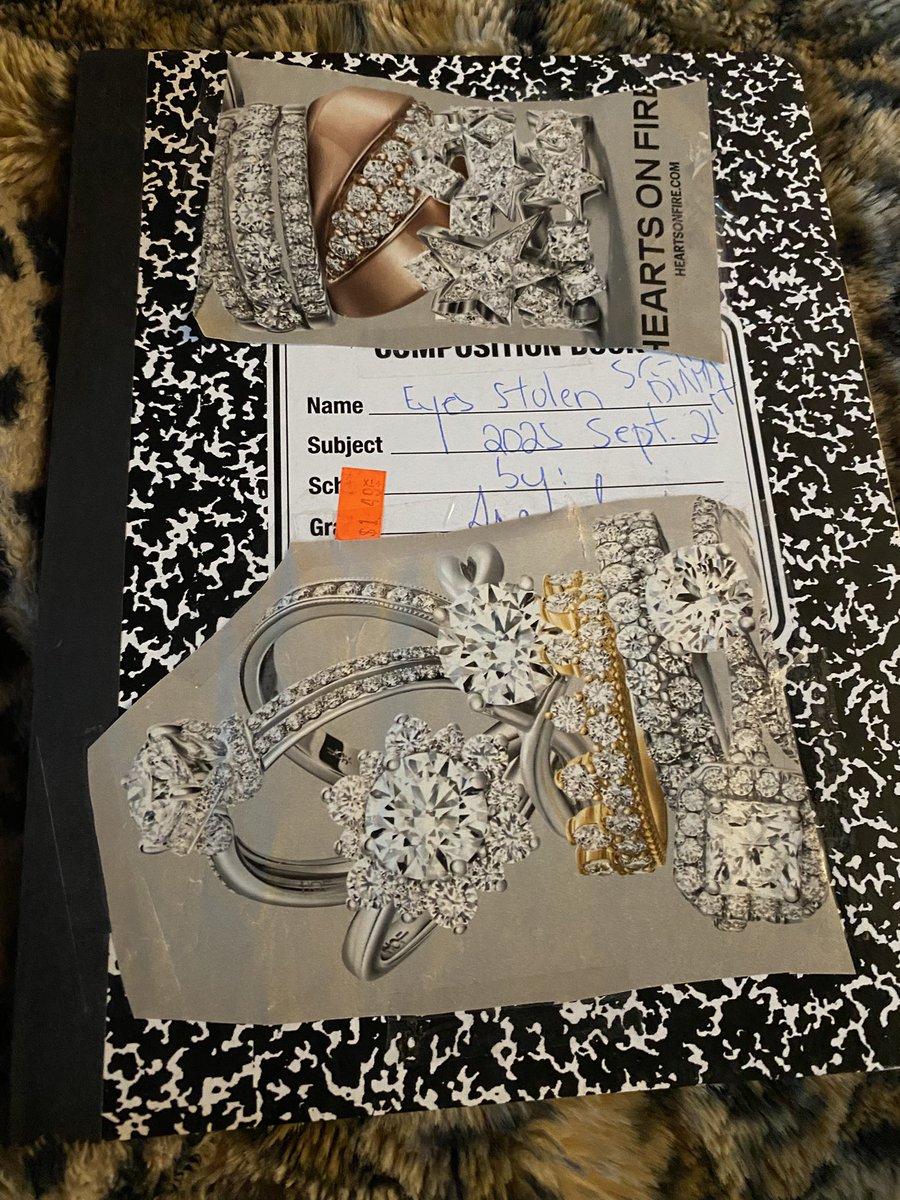 SenoritaCheetah's tweet image. FINALLY decorated my new notebook which is called ‘Eyes Stolen’ :), and it’ll be unlike anything you’ve ever read before :)!! I’ll be working on it very soon :)!!
#book2025 #fashionwriter #newnotebook