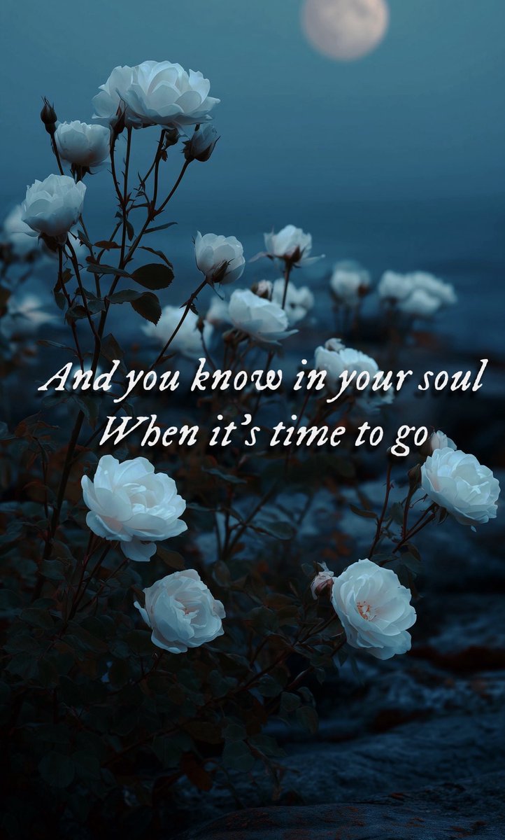 kubaswift's tweet image. Friends, after much much much thought, this page will be deactivated officially on December 31. After a few wonderful years it’s time to hang it up! 

(Will save you all the trouble of another big letter), thank you to all my friends old and new! ♡