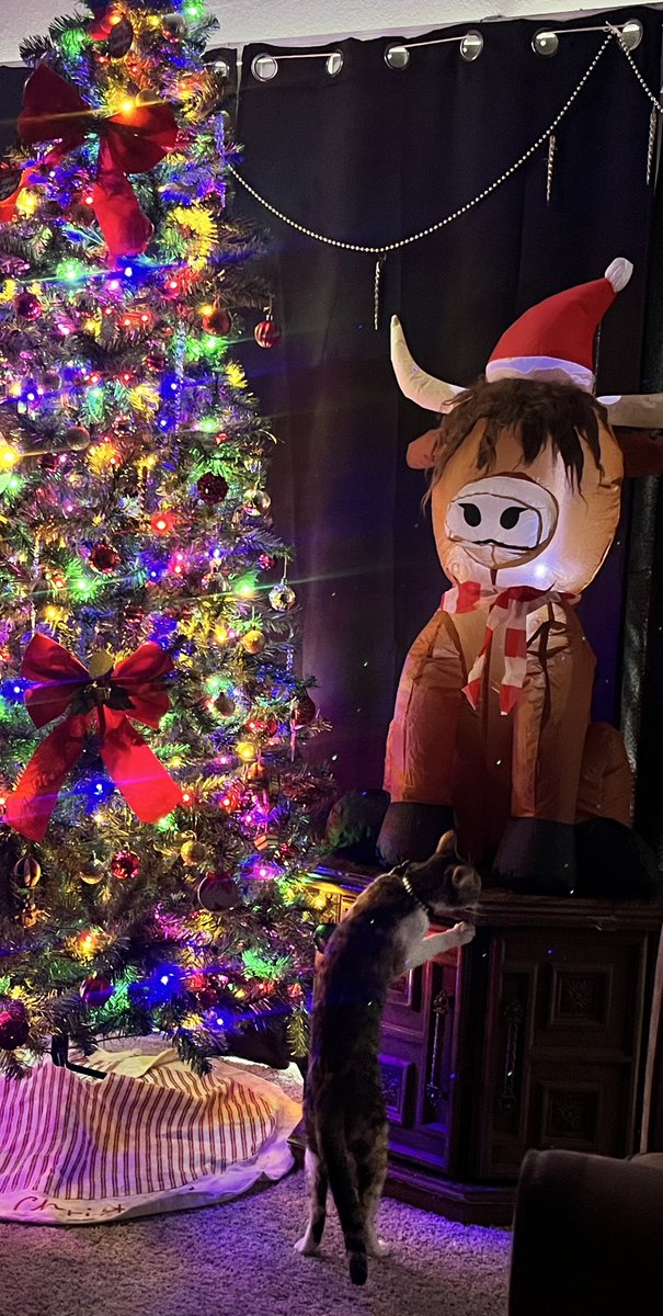 daimareac's tweet image. Ay amiga, donde le meta la uñita al muñeco le va a tocar quedarse de adorno usted oyó