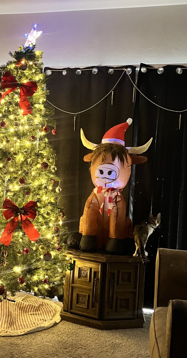 daimareac's tweet image. Ay amiga, donde le meta la uñita al muñeco le va a tocar quedarse de adorno usted oyó