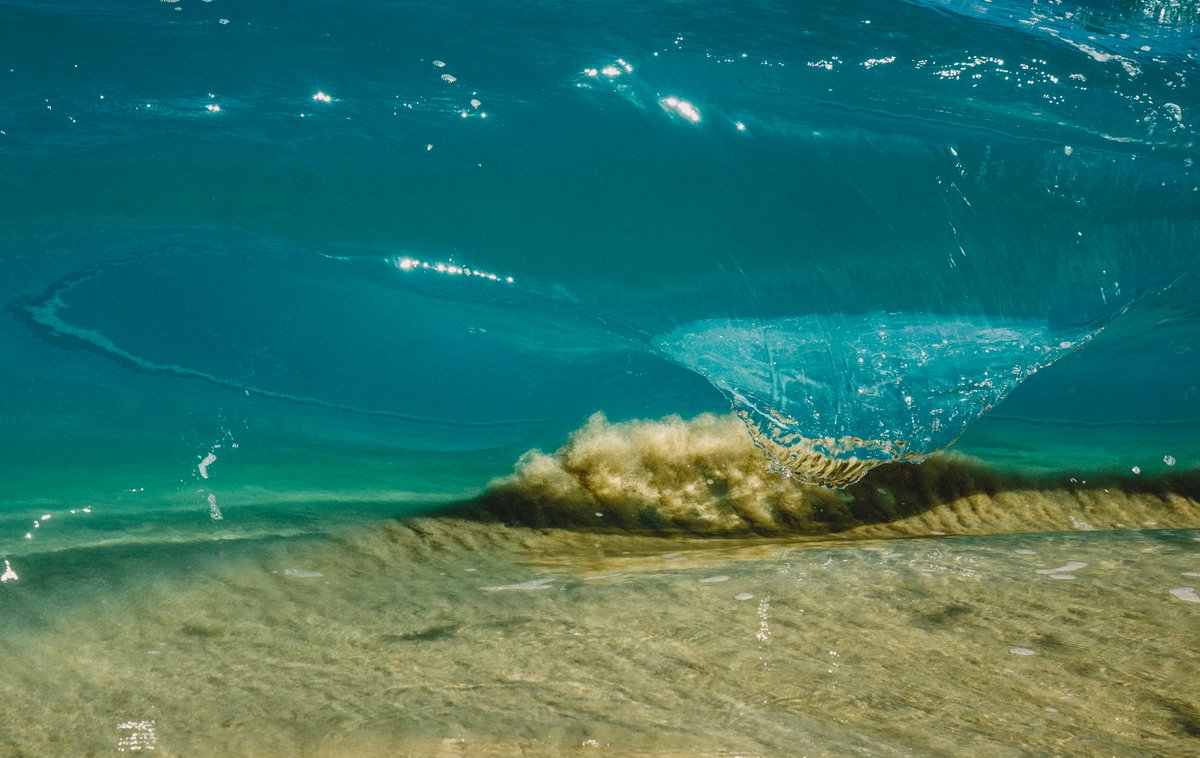 Kim Feast tweet media