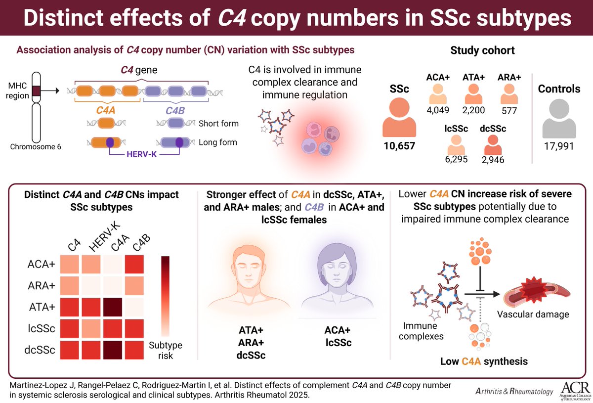 ACR_Journals's tweet image. Genetic contributions of C4A and C4B in systemic sclerosis subtypes susceptibility - doi.org/10.1002/art.43…
•lower copy numbers (CNs) of C4 were associated with increased risk of different clinical and serologic subtypes of SSc
•C4A CNs had stronger association with ATA+…
