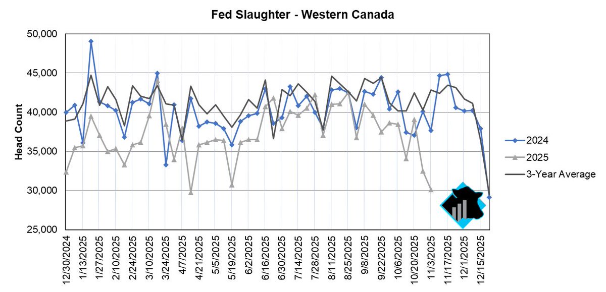 Fed cattle harvest in Western Canada fell to 30,148 head during the week of November 3rd. Steer slaughter was down 7% from a year ago, while heifer slaughter was 44% below last year.
