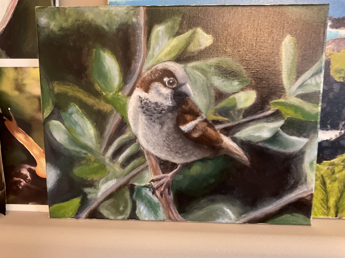 peanut747 tweet media