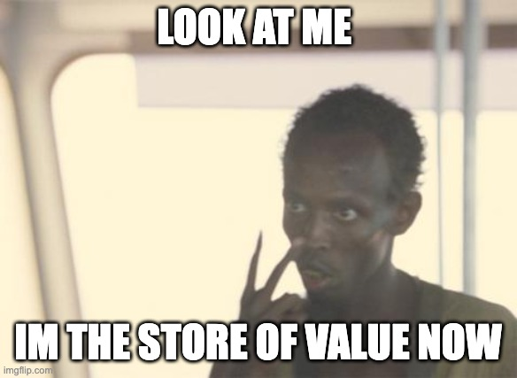 Meme of a person saying 'Look at me, I'm the store of value now'
