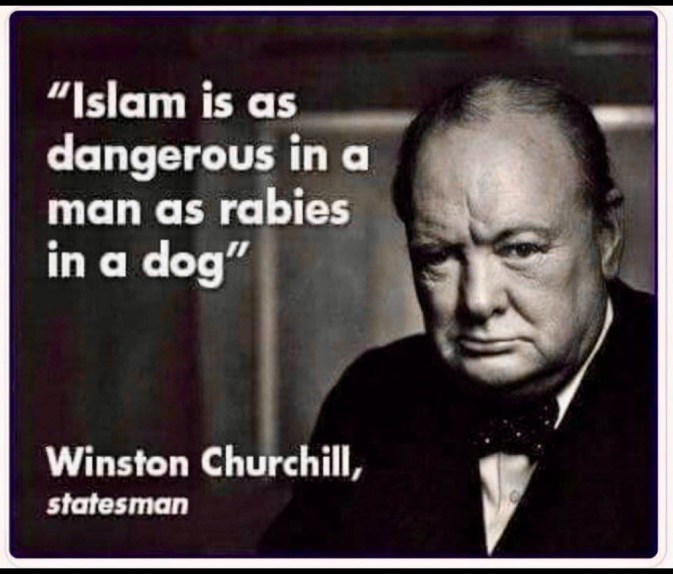 rey08016460's tweet image. 