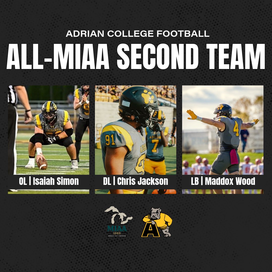 Proud of our All-MIAA Player Representation for the 2025 Season 🐾