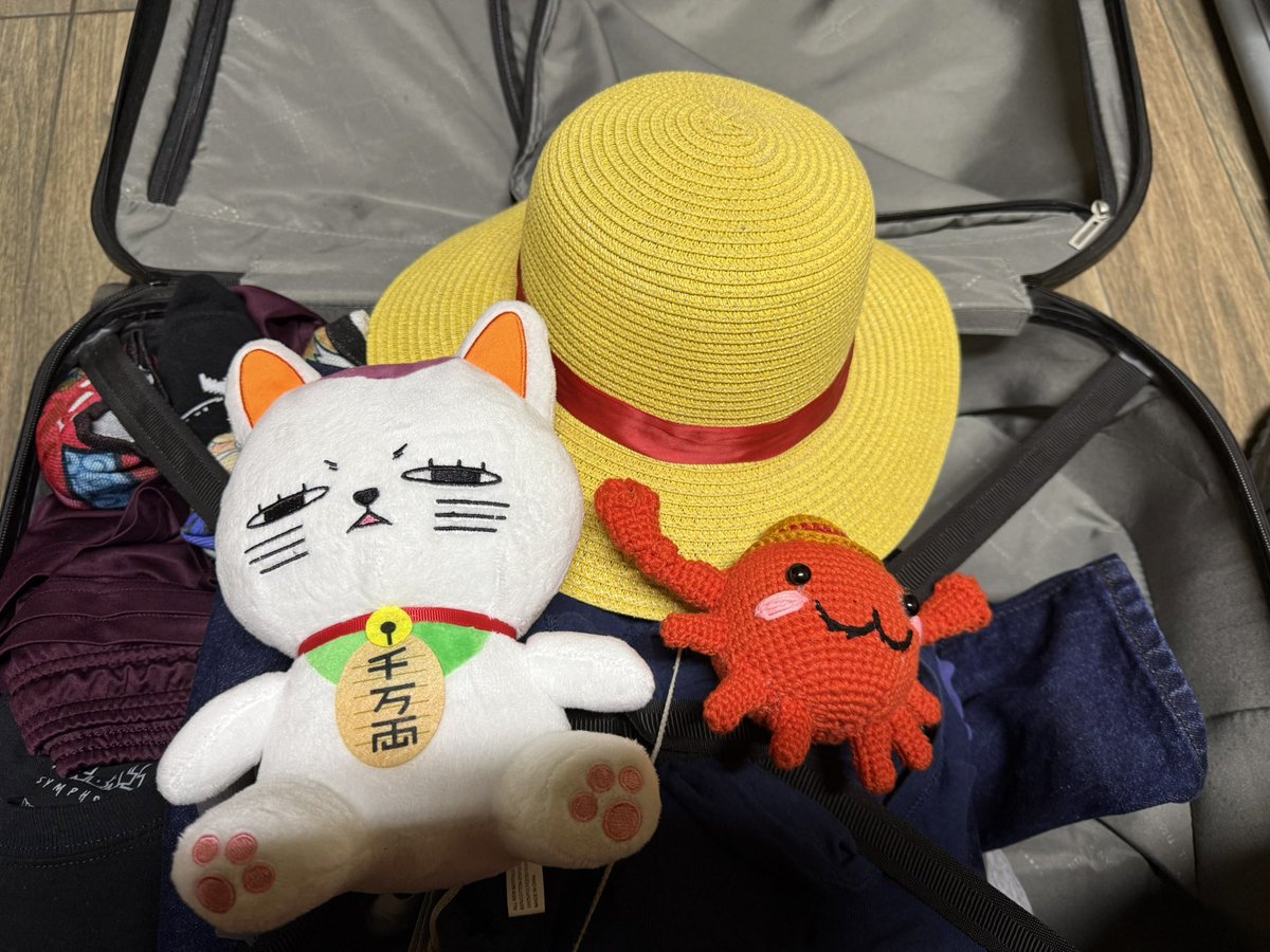 Esperemos encontrar el One Piece en Tijuana

Ojalá Sheinbaum no vea esto lol (solo los mexicanos entenderán XD)