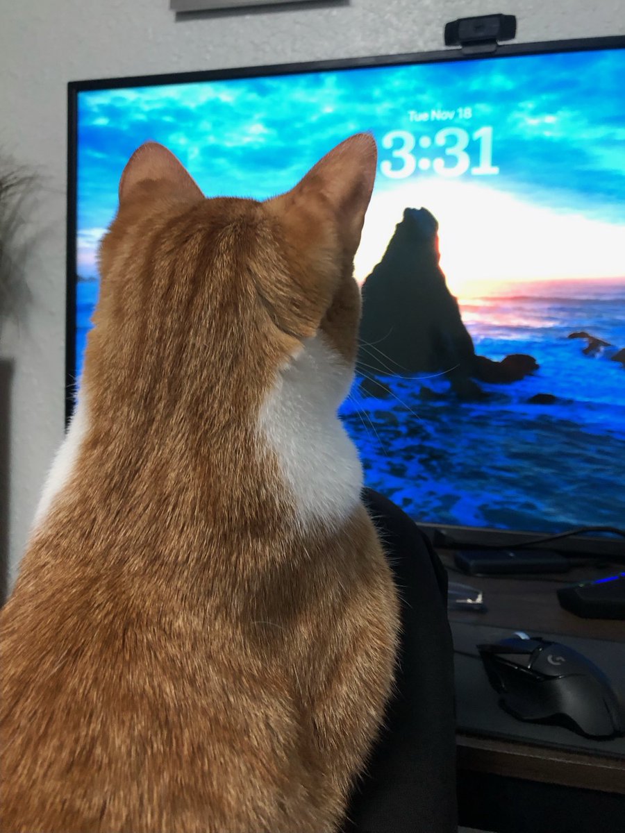 UnitOrange's tweet image. My Orange Unit loves looking out the window at the beautiful scenery outside.  He see’s the beauty behind the “3:31” skywriting.