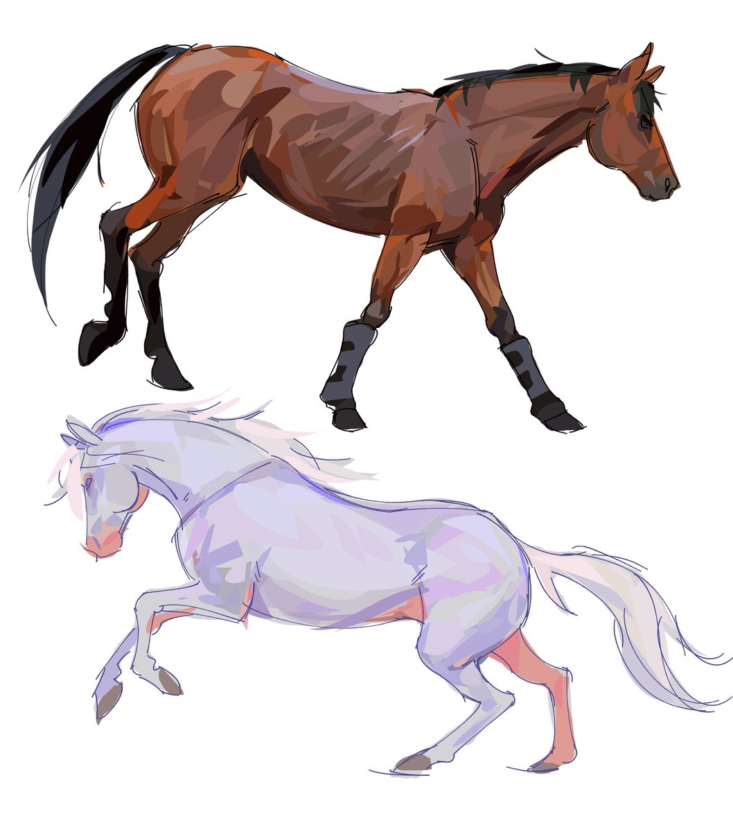 fishieguy's tweet image. more horseys