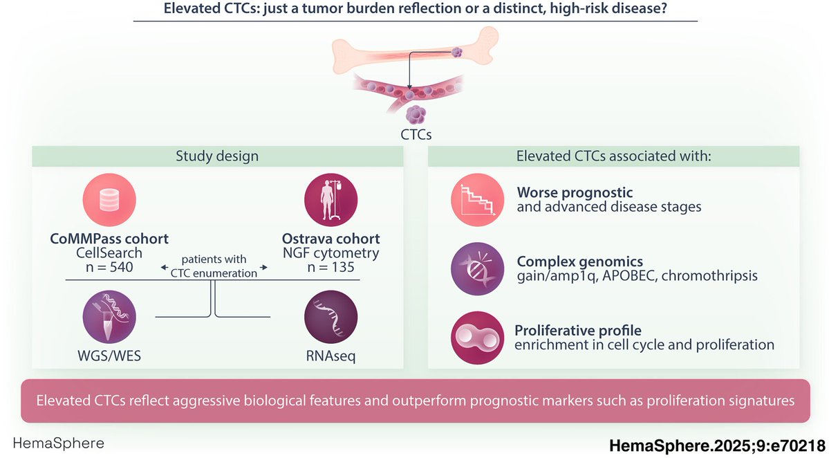 Elevated circulating tumor cells [#cactc] reflect high proliferation and genomic complexity in multiple myeloma [Sep 23, 2025] Garces et al. <a href="/Hemasphere_EHA/">HemaSphere Journal (IF = 14.6)</a> onlinelibrary.wiley.com/doi/10.1002/he… #mmsm #cagenome