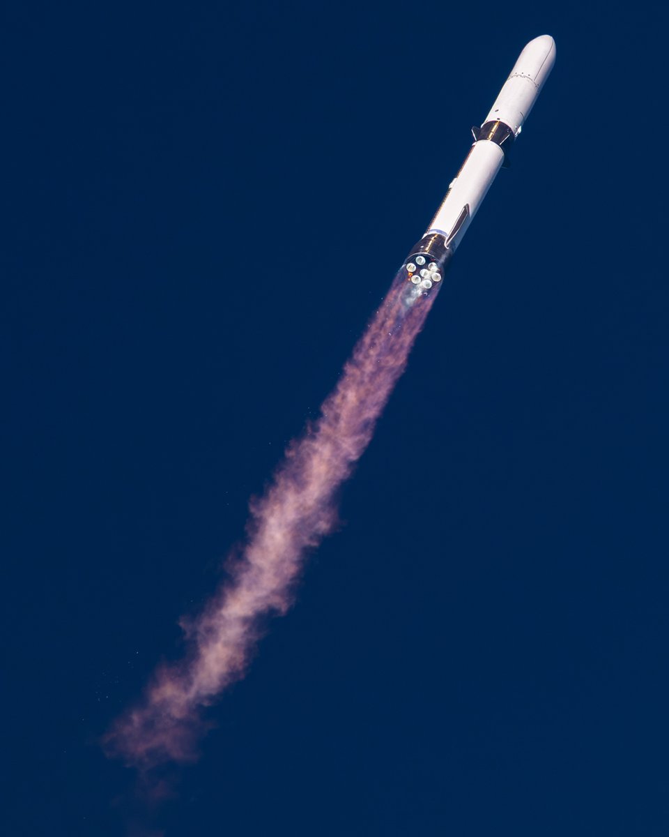 Max Evans (@_mgde_) on Twitter photo 