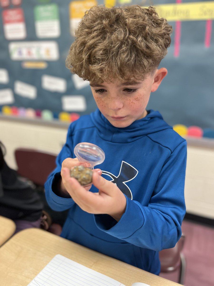 tracy_ingram's tweet image. Identifying characteristics of rocks and minerals during science today! 🪨 🔍 @RCE_HCS #WeAreRacers #UnlockingPotential