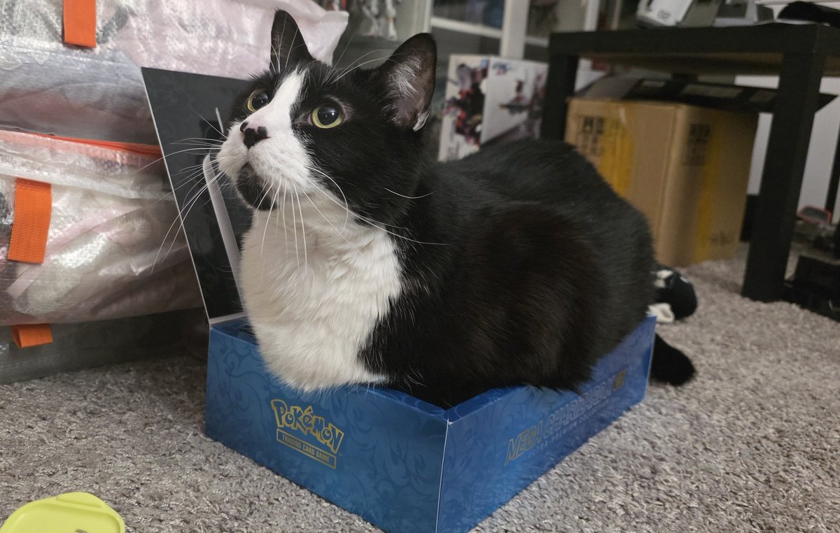 If he fits he sits