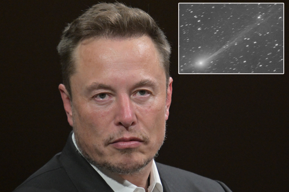 Daily Star tweet media