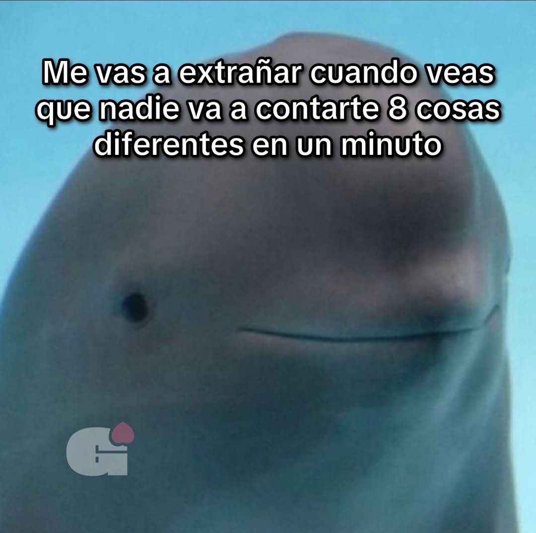 barbie_context's tweet image. 