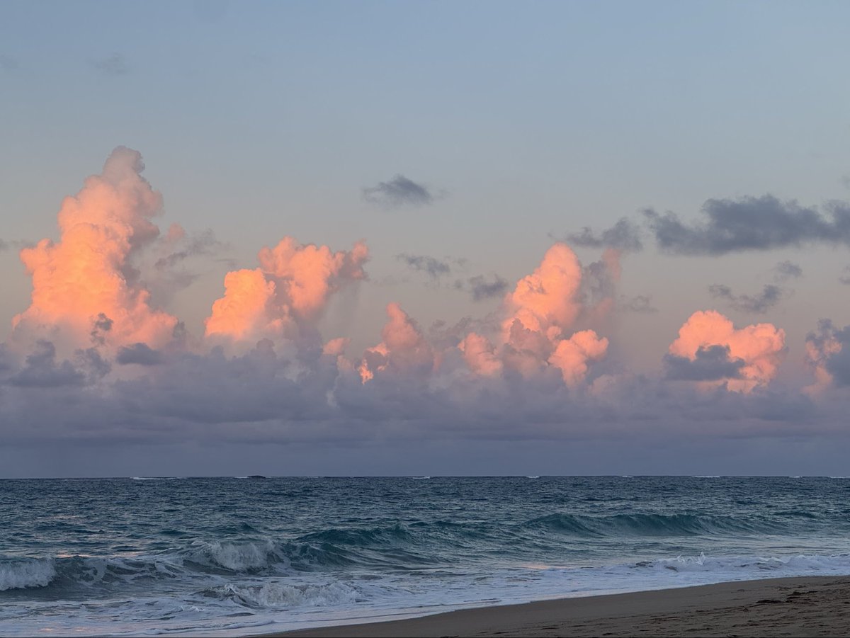 Xavier Valcárcel tweet media