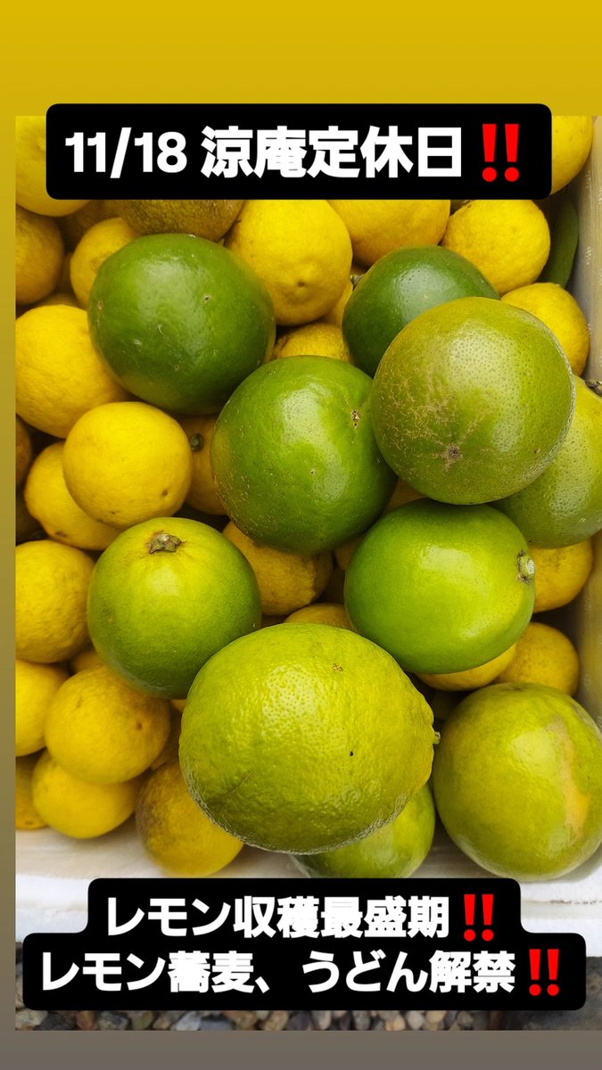 蕎麦うどん涼庵です。今回は「2025レモン蕎麦解禁」です。自家栽培の有機栽培檸檬1個を使いました。このLemonは、皮が薄く甘味と香りが強く、皮まで食べられます。うどん、きしめん、稲庭うどんもあります。#涼庵 #レモン #lemon #檸檬 #れもん #そば #蕎麦 #うどん #きしめん #稲庭うどん #自家栽培