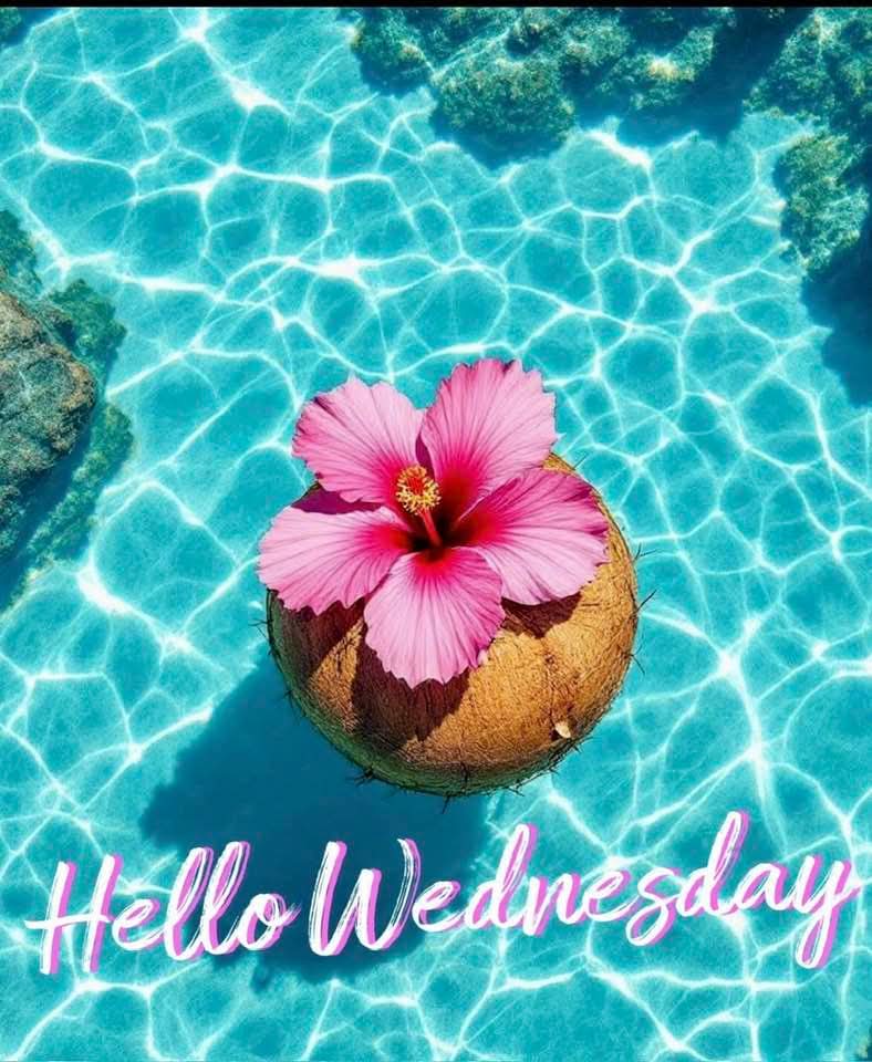 LilPhoenixRisin's tweet image. Back to our regular schedule #postivevibes