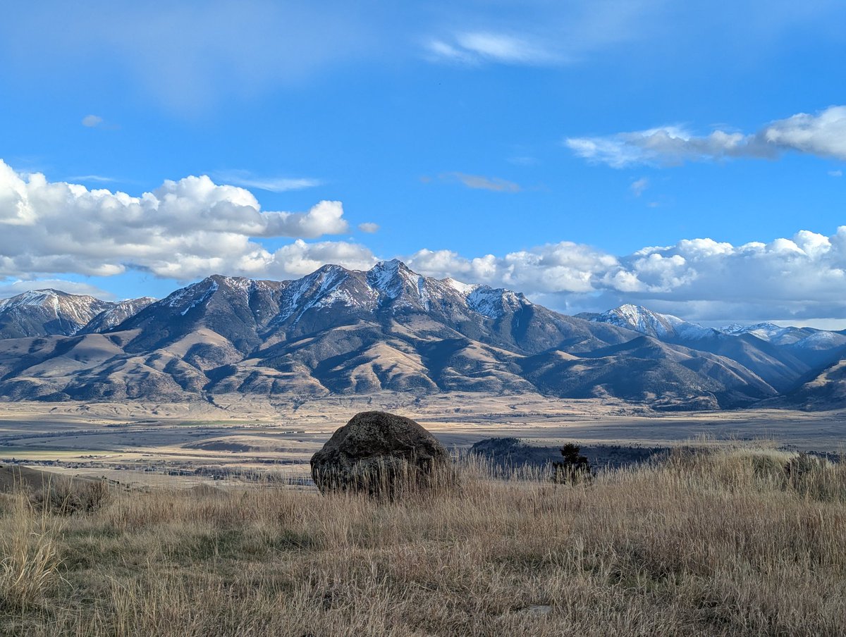 Andrew Field tweet media