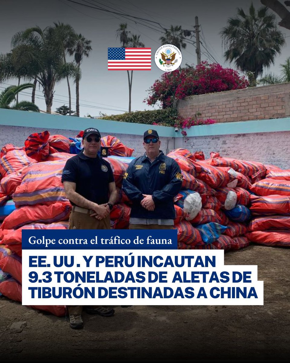 USEMBASSYPERU's tweet image. Estados Unidos y Perú incautan 9.3 toneladas de aletas de tiburón con destino a China, en una de las mayores operaciones contra el tráfico de vida silvestre en Latinoamérica.