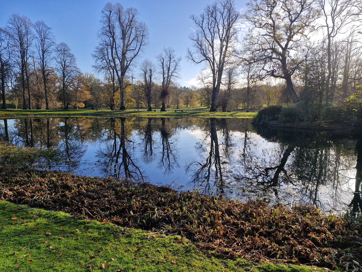 Annual maintenance at the Round Oval lake this week <a href="/AlthorpHouse/">Althorp</a>.
The cutting and removal of the dead and dying aquatic plants help us to maintain the water quality throughout the year. 
Conservation@althorp.com #Spencerestates