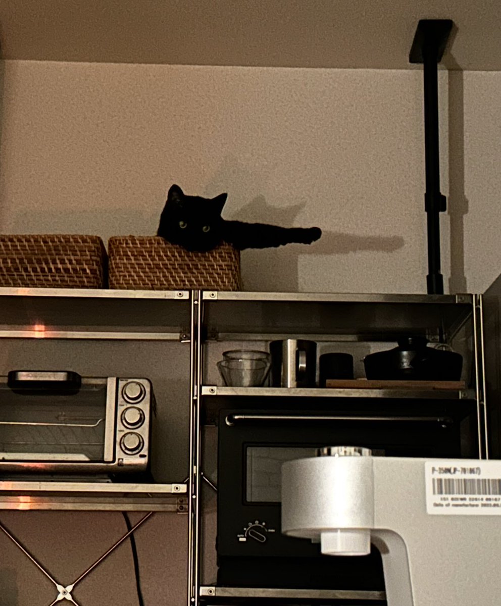 39造 (@mosa_suma_39zo) / Posts / X