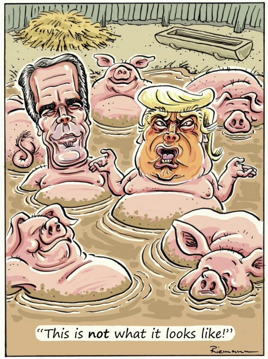 TheOnlyEsta's tweet image. I needed a good laugh‼️🤣🤣🤣