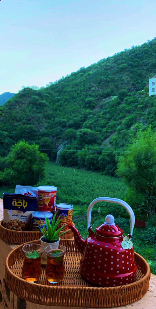 بيني وبينَ الليلِ عهدُ صداقةٍ
ما خنتُها يوماً ولا هو خانَها

أشكو لهُ ألمَ الفراقِ وكم شكى
لي أنجماً لم يستطِعْ نسيانَها