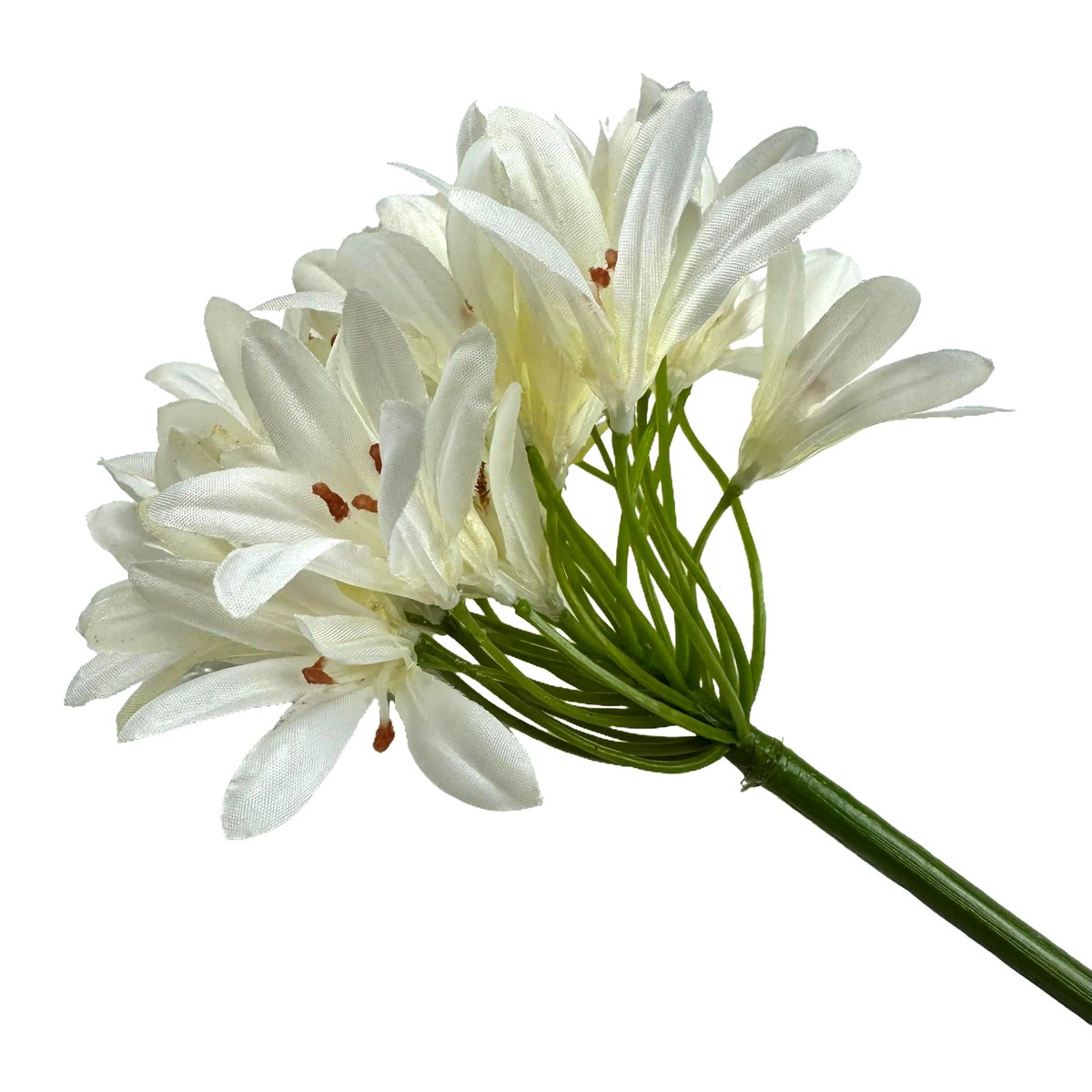 ArtificialDevon's tweet image. Check out Artificial Agapanthus Flower Stem Cream 87cm devonartificial.co.uk or ebay.us/m/3zn38l #artificialflowers #fauxflowers #homedecor #shopdecor #hoteldecor #cafedecor #flowers #theatreprops #movieprops #scenery #christmas #christmas2025