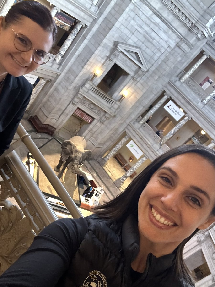 VanessaPirotta's tweet photo. A Night at the Museum here at the @smithsonian Museum of Natural History in Washington DC- with one of Australia’s greatest gifts to the US, Dr Rebecca Johnson AM!

#US #washington #dc #superstarsofstem #scicomm #education #womeninscience #ausmus #nightatthemuseum https://t.co/L7NmVWWYGR