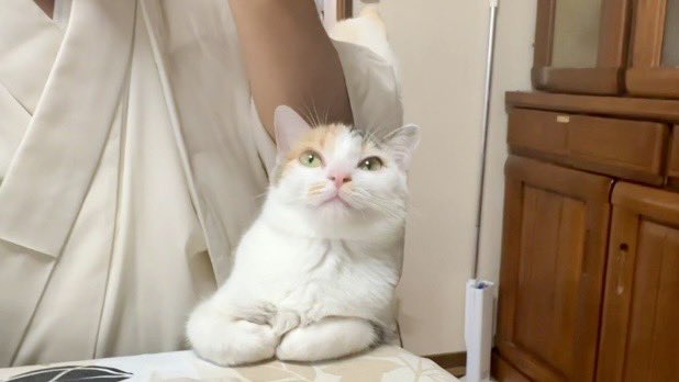 長楽寺に来て1か月経ってないのにこの態度w youtu.be/xsDUTKSuWWM?si… <a href="/YouTube/">YouTube</a>より