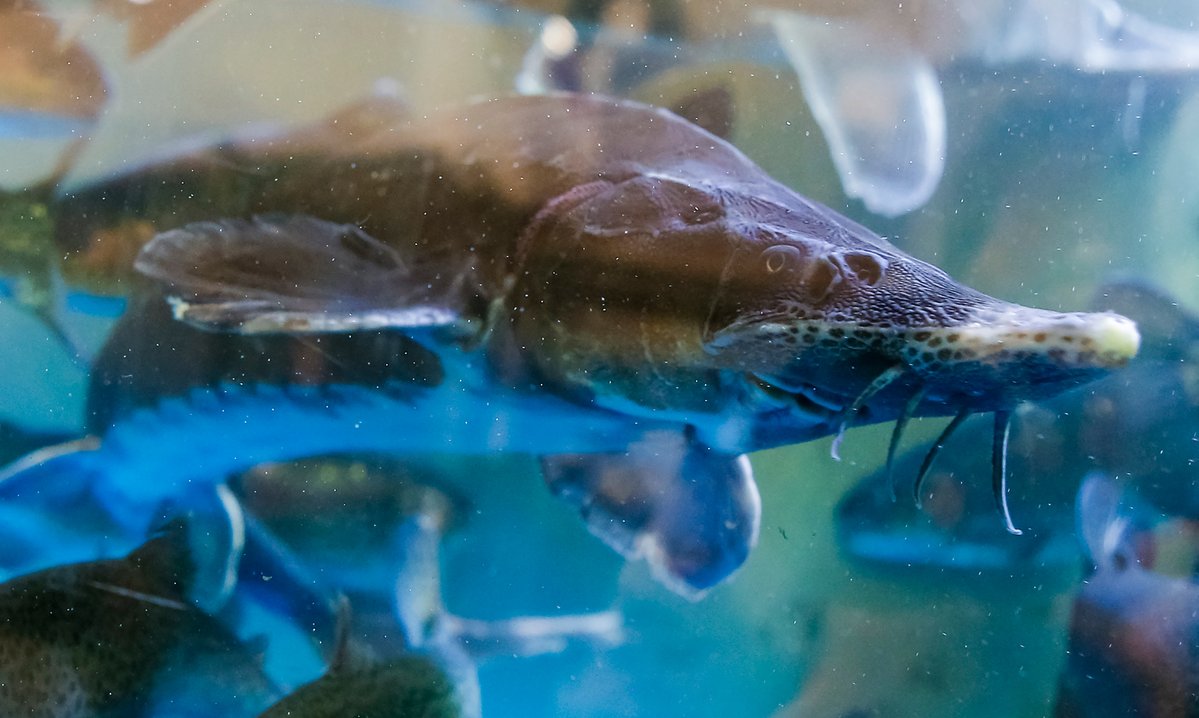 cinea_eu's tweet image. What’s next in LIFE?

132 #LIFEProjects will tackle environmental &amp;amp; climate issues #ForOurPlanet

From protecting reindeer in Finland 🇫🇮 to recycling old ski equipment in Italy 🇮🇹 #LIFEProgramme is reshaping our future

🔗cinea.ec.europa.eu/news-events/ne…

#EULife24