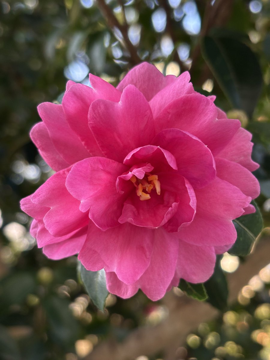 gaho55 tweet picture