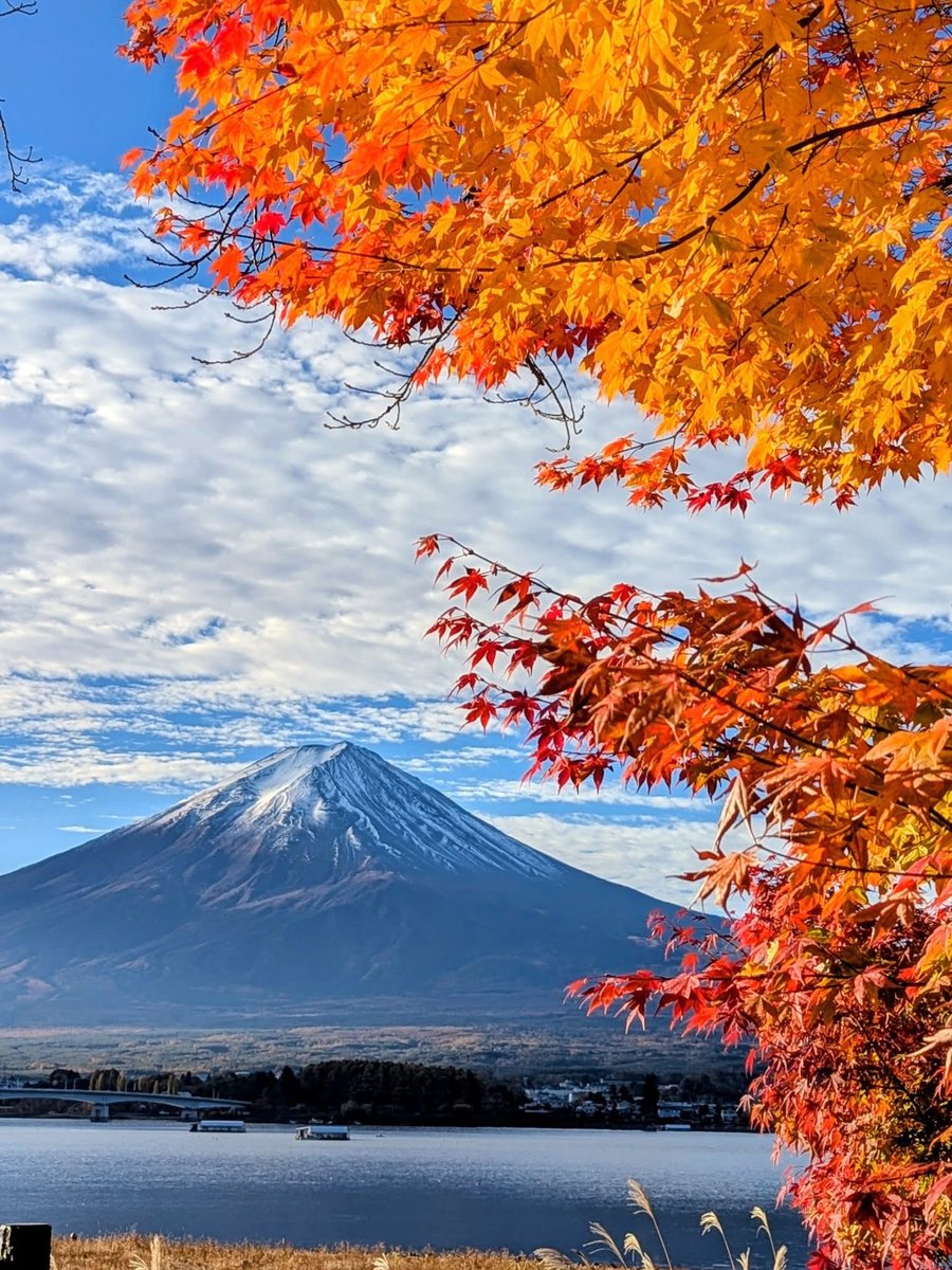 皆さん、おはようございます😺
今日も✨よろしくお願いします
こちらは雨模様です😸💦
良い一日をお過ごし下さい‼️