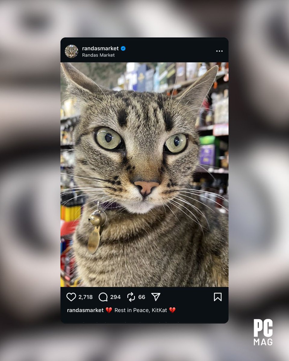 PCMag's tweet image. A SF Supervisor is using the death of a cat, KitKat (killed by a #Waymo robotaxi), to fight for local control over #AutonomousVehicles. 

She&apos;s urging residents to ask the state to give counties the right to vote on if #AVs can operate in their areas.  

Read more 🔗…