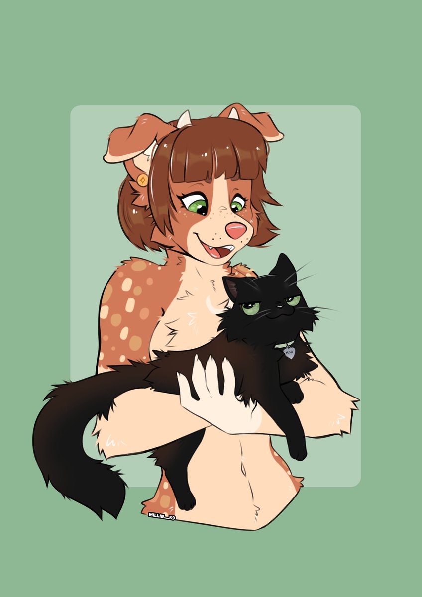 Millie Dog 💛 🔜 FurDU tweet media