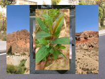 Walter_onair's tweet image. 638991877463946793_369Flodstrand, sand, ljus i solljus 🪨638991877463946793_369