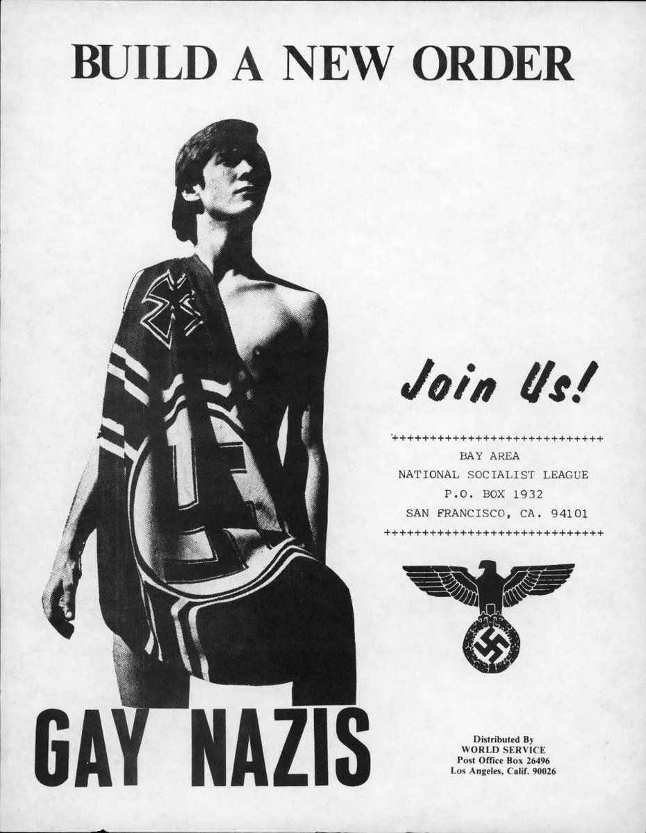 sonnysehra's tweet image. national socialist league propaganda poster from the 1970s. it was an american neo-nazi organization of gay men that existed from 1974-1984, “determining to seek sexual freedom for aryans” and arguing that “gay men had a role in maintaining the white race”