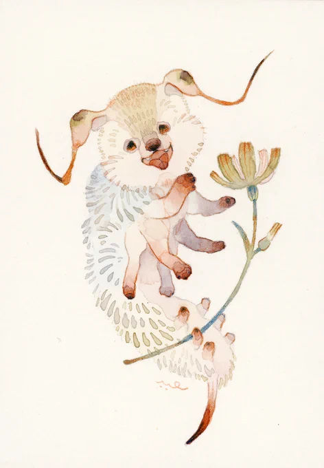 わたしの犬