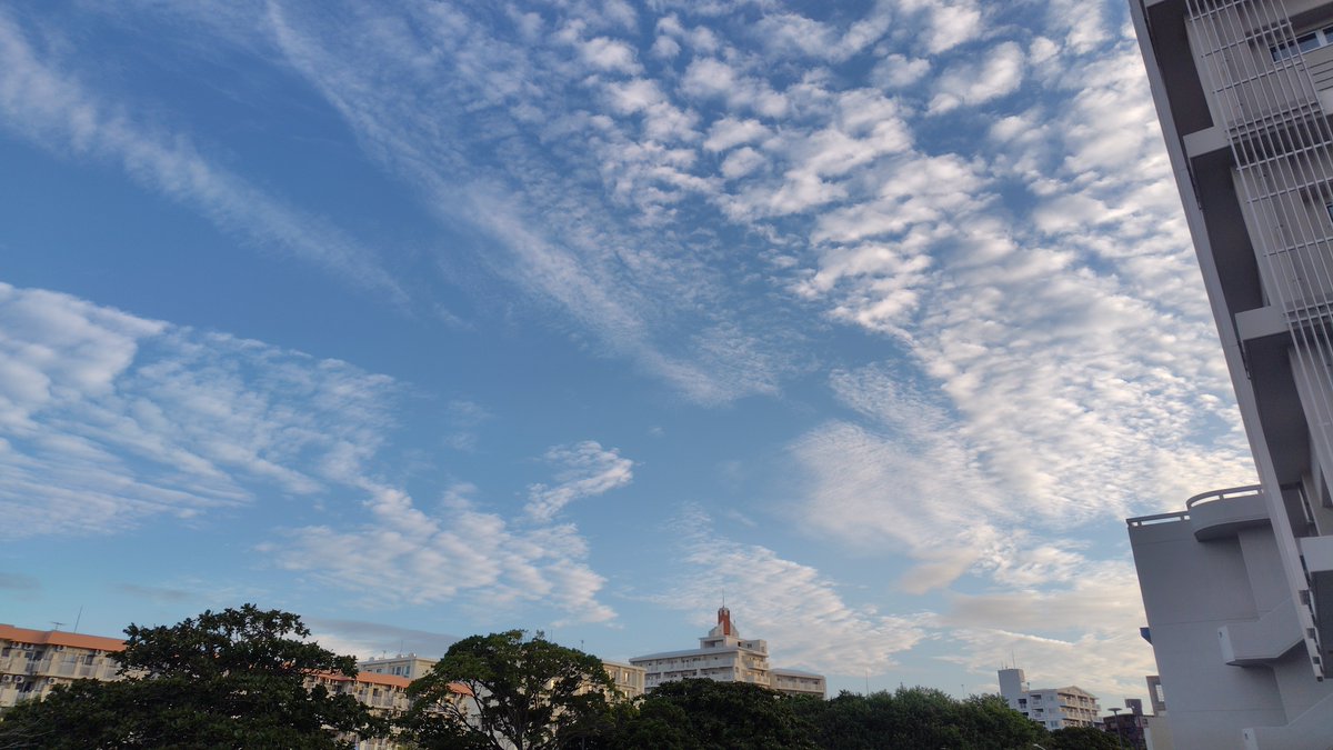 SCL_Ryukyu's tweet image. 