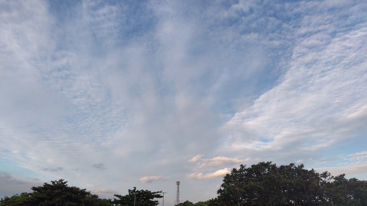 SCL_Ryukyu's tweet image. 