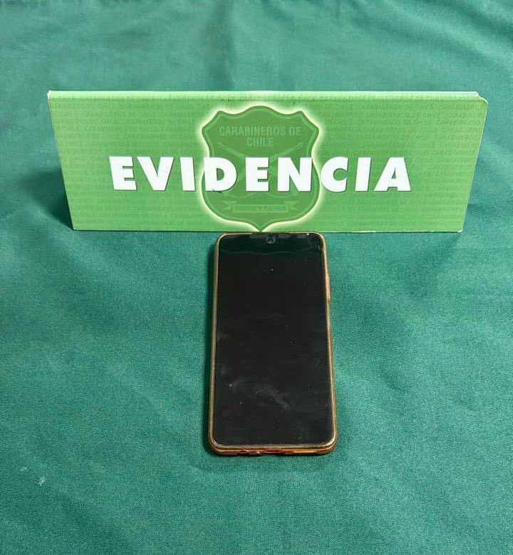 #Valdiviacl: A raíz de patrullajes preventivos, se sorprendió de manera flagrante un robo con violencia en el sector costanera, logrando auxiliar a la víctima, detener al sujeto y recuperar la especie sustraída.

#OrdenyPatria