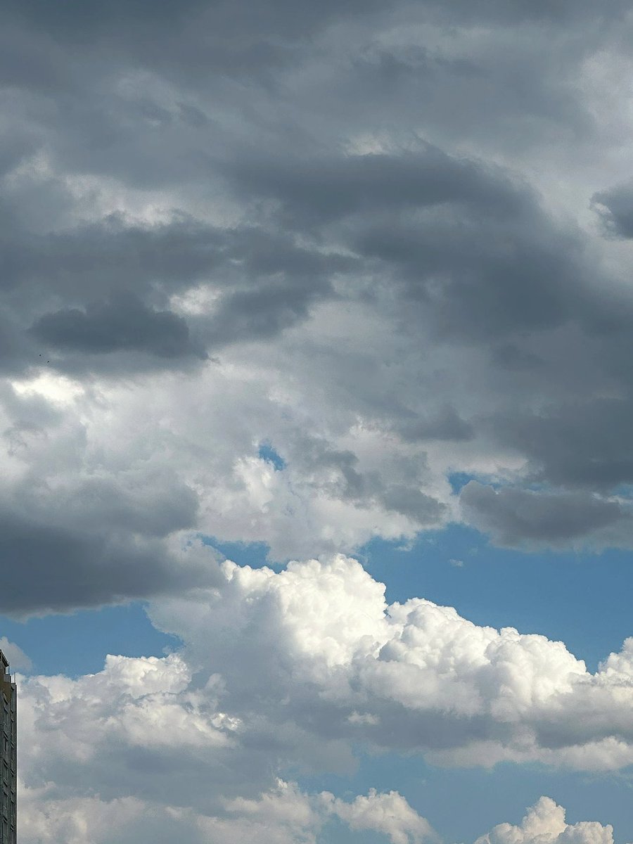 Rayvcallace's tweet image. 天気予報では曇りって言ってたけど
でも、雨が降りそうな気がするな🤔